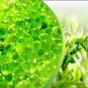 Aromatherapy Single Cartridge Fragrance - Spring Green Tea