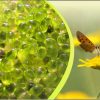 Aromatherapy Single Cartridge Fragrance - Chamomile Vigour