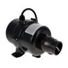 CG 900 Watt Air Blower